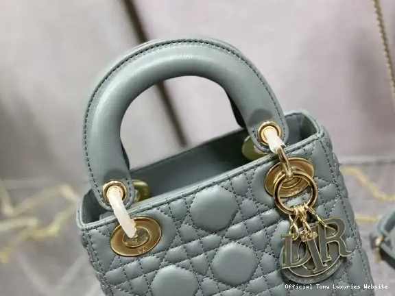 Tony Luxuries LADY diro-17CM 0414